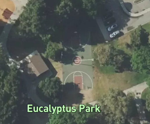 Eucalyptus Park
